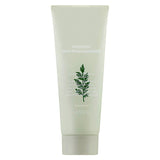 Artemisia Pack Foam Cleanser