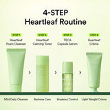 Heartleaf Calming Trial Kit