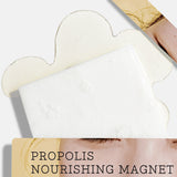 Full Fit Propolis Nourishing Magnet Sheet Mask